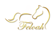Feloah logo